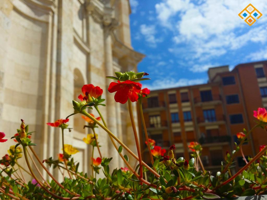 Sa Domu De Ajaja Apartments Cagliari Luaran gambar